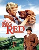 poster_big-red_tt0055793.jpg Free Download