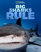 poster_big-sharks-rule_tt21300968.jpg Free Download