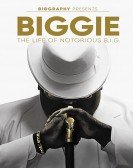 poster_biggie-the-life-of-notorious-big_tt7297472.jpg Free Download