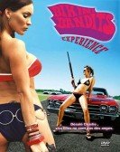 Bikini Bandits (2002) poster