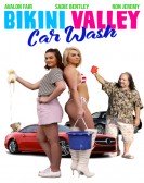 Bikini Valley Car Wash poster