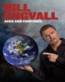 Bill Engvall poster