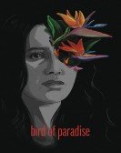 poster_bird-of-paradise_tt15766312.jpg Free Download