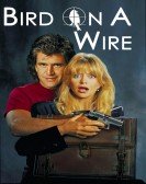 poster_bird-on-a-wire_tt0099141.jpg Free Download