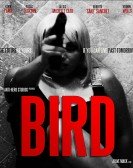 Bird poster