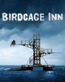 Birdcage Inn Free Download