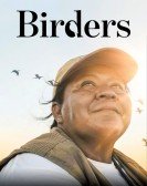 Birders Free Download