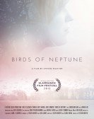 Birds of Neptune poster