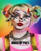 Birds of Prey (and the Fantabulous Emancipation of One Harley Quinn) poster