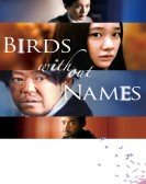 poster_birds-without-names_tt6493644.jpg Free Download