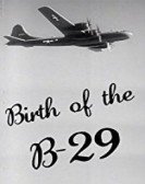 Birth of the B-29 Free Download