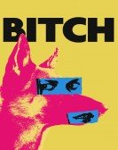 Bitch (2017) Free Download