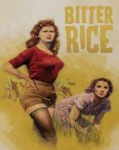 Bitter Rice Free Download