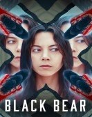 Black Bear Free Download