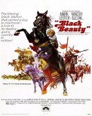 Black Beauty Free Download