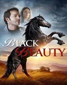 poster_black-beauty_tt3950488.jpg Free Download