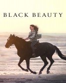 poster_black-beauty_tt8484160.jpg Free Download