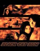 Black Cat Run Free Download