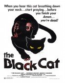 Black Cat Free Download