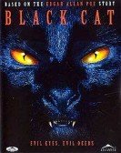 Black Cat Free Download