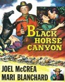 poster_black-horse-canyon_tt0046785.jpg Free Download