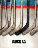 Black Ice poster