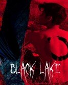 Black Lake poster