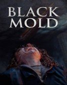 Black Mold Free Download