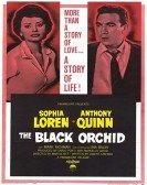 poster_black-orchid_tt0052631.jpg Free Download