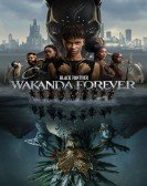 poster_black-panther-wakanda-forever_tt9114286.jpg Free Download