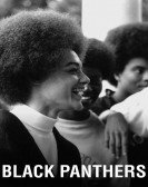 poster_black-panthers_tt0209942.jpg Free Download