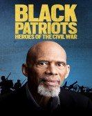 Black Patriots: Heroes of the Civil War Free Download