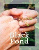 poster_black-pond_tt10994166.jpg Free Download