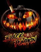 Black Pumpkin Free Download