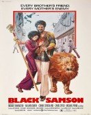 poster_black-samson_tt0071226.jpg Free Download