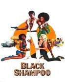 poster_black-shampoo_tt0074214.jpg Free Download