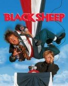 Black Sheep poster