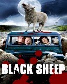 Black Sheep poster