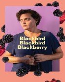 Blackbird Blackbird Blackberry Free Download