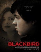 poster_blackbird_tt2077721.jpg Free Download