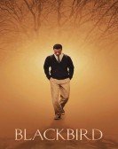 poster_blackbird_tt3181920.jpg Free Download