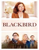 poster_blackbird_tt8717446.jpg Free Download