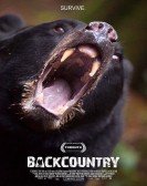 Backcountry poster