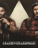 BlacKkKlansman (2018) poster