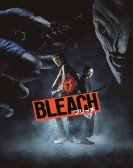 Bleach Free Download