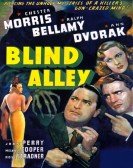 poster_blind-alley_tt0031104.jpg Free Download