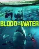 poster_blood-in-the-water_tt12146688.jpg Free Download