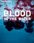 Blood in the Water Free Download