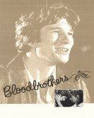 Bloodbrothers Free Download