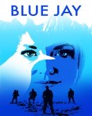 Blue Jay poster